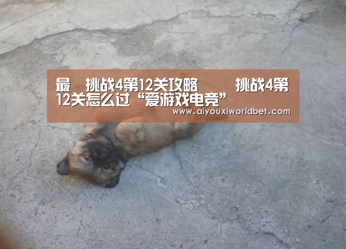 爱游戏官方