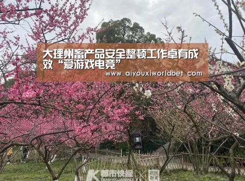 大理州畜产品安全整顿工作卓有成效“爱游戏电竞”(图1) 爱游戏下载