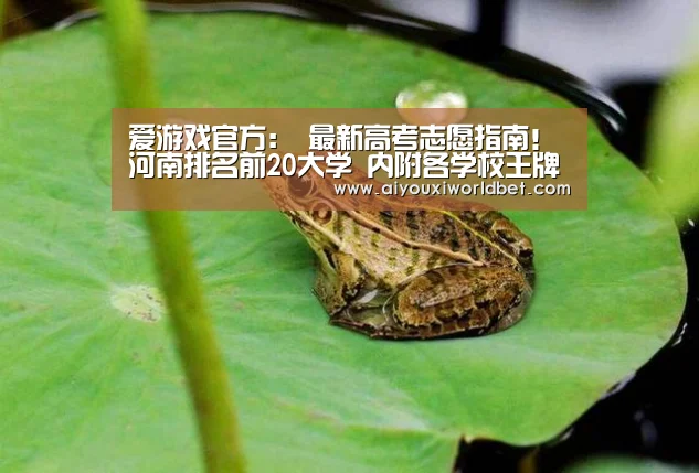 爱游戏官方