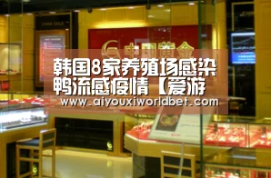 韩国8家养殖场感染鸭流感疫情【爱游戏下载】(图1) 爱游戏平台