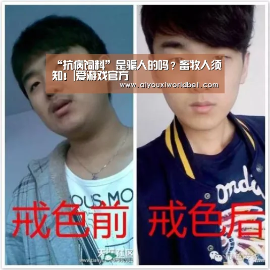 “抗病饲料”是骗人的吗?畜牧人须知!|爱游戏官方(图1) 爱游戏电竞