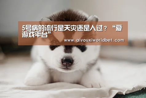 5号病的流行是天灾还是人过?“爱游戏平台”(图1) 爱游戏电竞