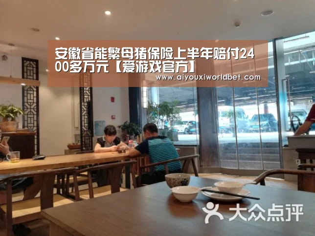 安徽省能繁母猪保险上半年赔付2400多万元【爱游戏官方】(图1) 爱游戏下载