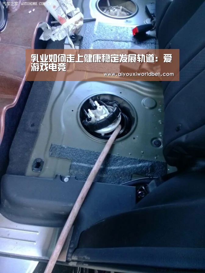 乳业如何走上健康稳定发展轨道:爱游戏电竞(图3) 爱游戏官方