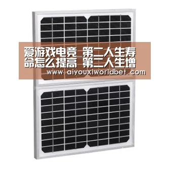 爱游戏电竞_第二人生寿命怎么提高 第二人生增加寿命攻略(图3) 爱游戏平台