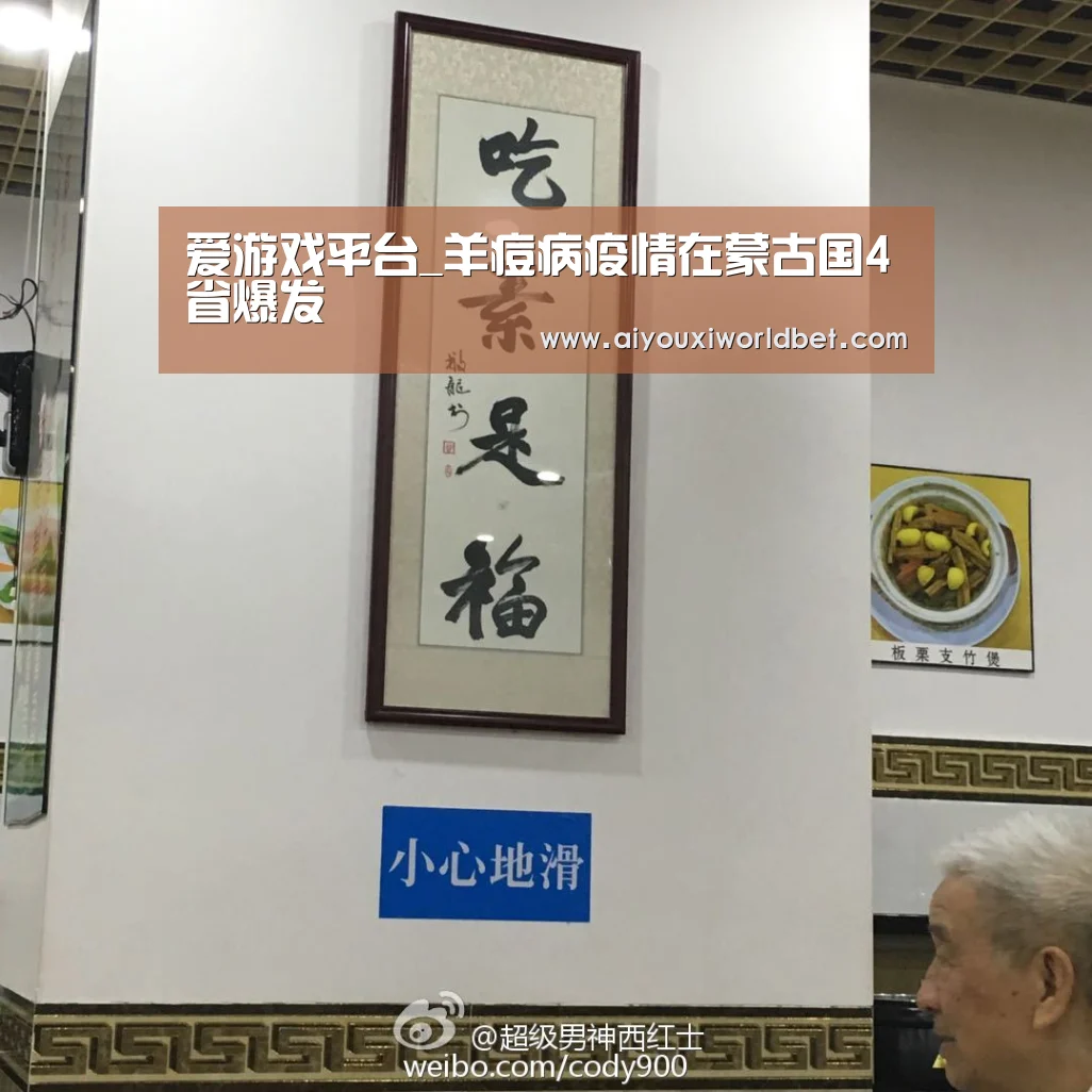 爱游戏官方