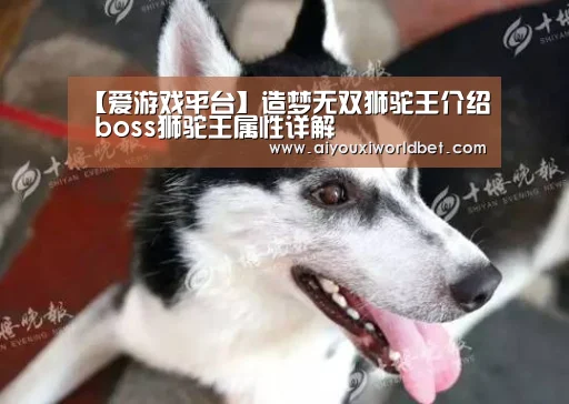 【爱游戏平台】造梦无双狮驼王介绍 boss狮驼王属性详解(图1) 爱游戏电竞