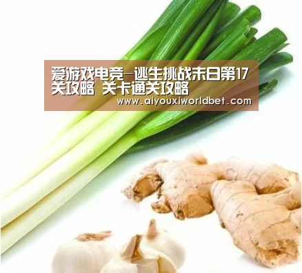 爱游戏电竞-逃生挑战末日第17关攻略 关卡通关攻略(图1) 爱游戏下载