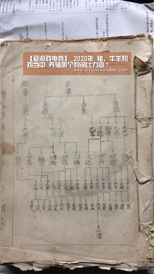 【爱游戏电竞】
2020年 猪、牛羊和鸡当中 养殖哪个利润比力高?(图2) 爱游戏官方
