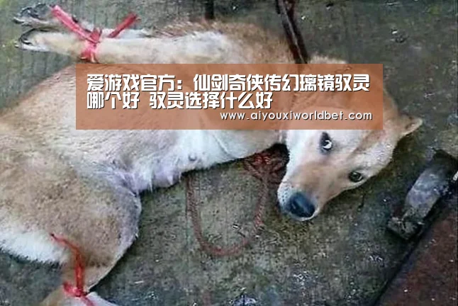 爱游戏官方:仙剑奇侠传幻璃镜驭灵哪个好 驭灵选择什么好(图3) 爱游戏官方
